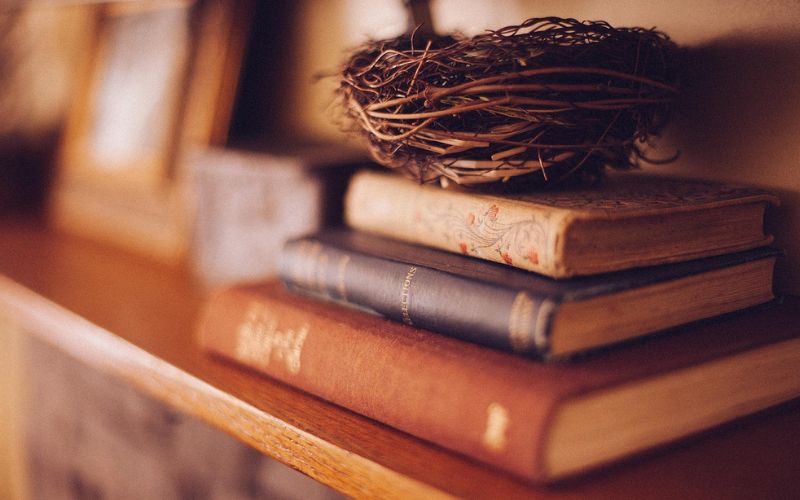 Lee más sobre el artículo ¿Cómo construir una estantería de madera paso a paso?