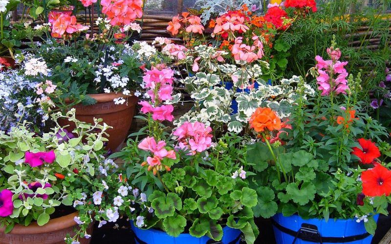 Lee más sobre el artículo 5 proyectos de bricolaje para hacer con niños